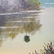 Florida Highwaymen Painting By Lemuel Newton - 3