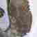 item-86878028=5