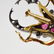 18k Gold, Diamond and Ruby Beetle Brooch - 5