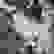 item-87510293=3