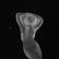 (2 Pc) Lalique "Danseuse" Crystal Figurines - 2