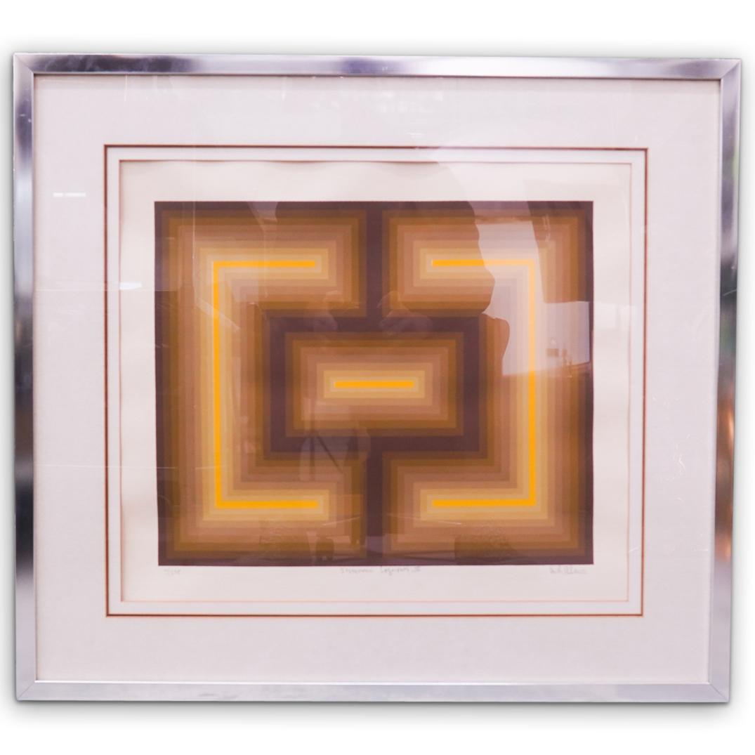 " Systematic Segments II" Signed Framed Lithograph (1 of 4)
