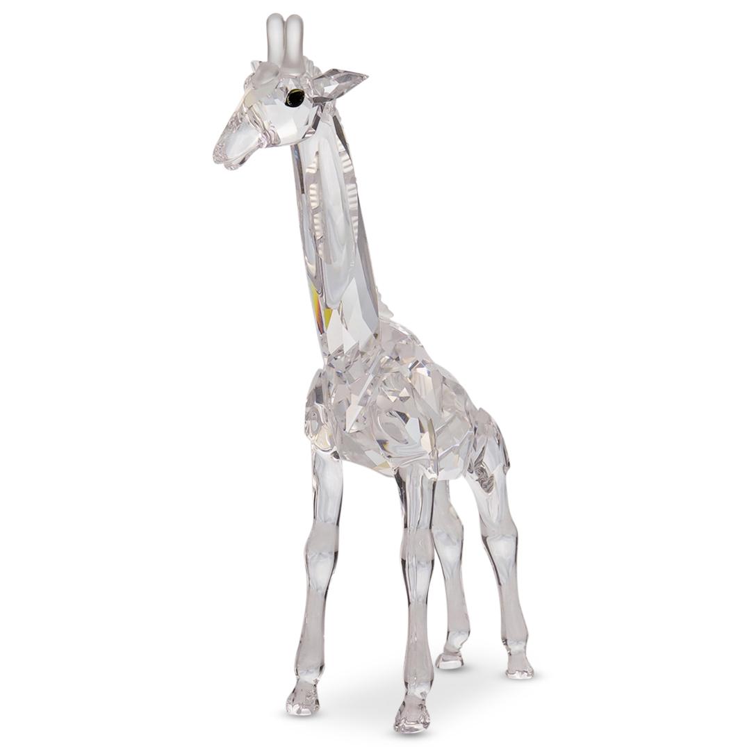 Swarovski " Baby Giraffe " Crystal Figurine (1 of 4)