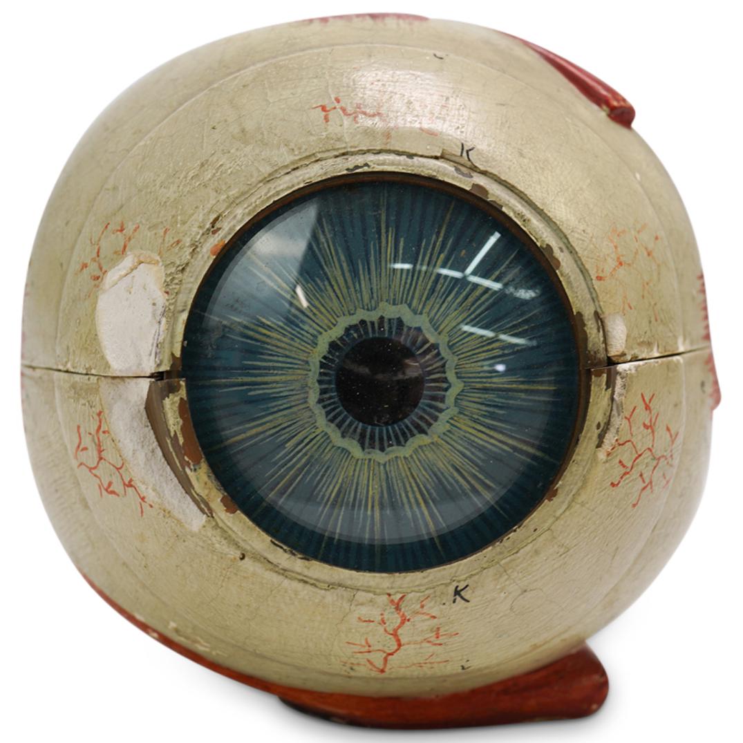 Antique Medical Anatomical Human Eye Model (1 of 5)