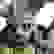 item-104296173=6