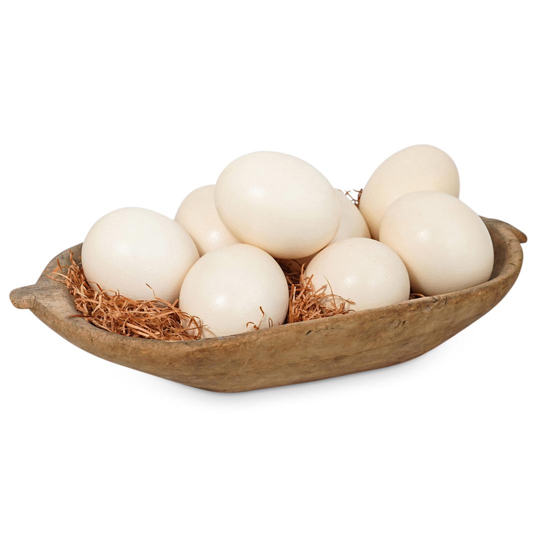 (9 Pcs) Large Ostrich Egg Shells Decorative Bowl (1 of 7)