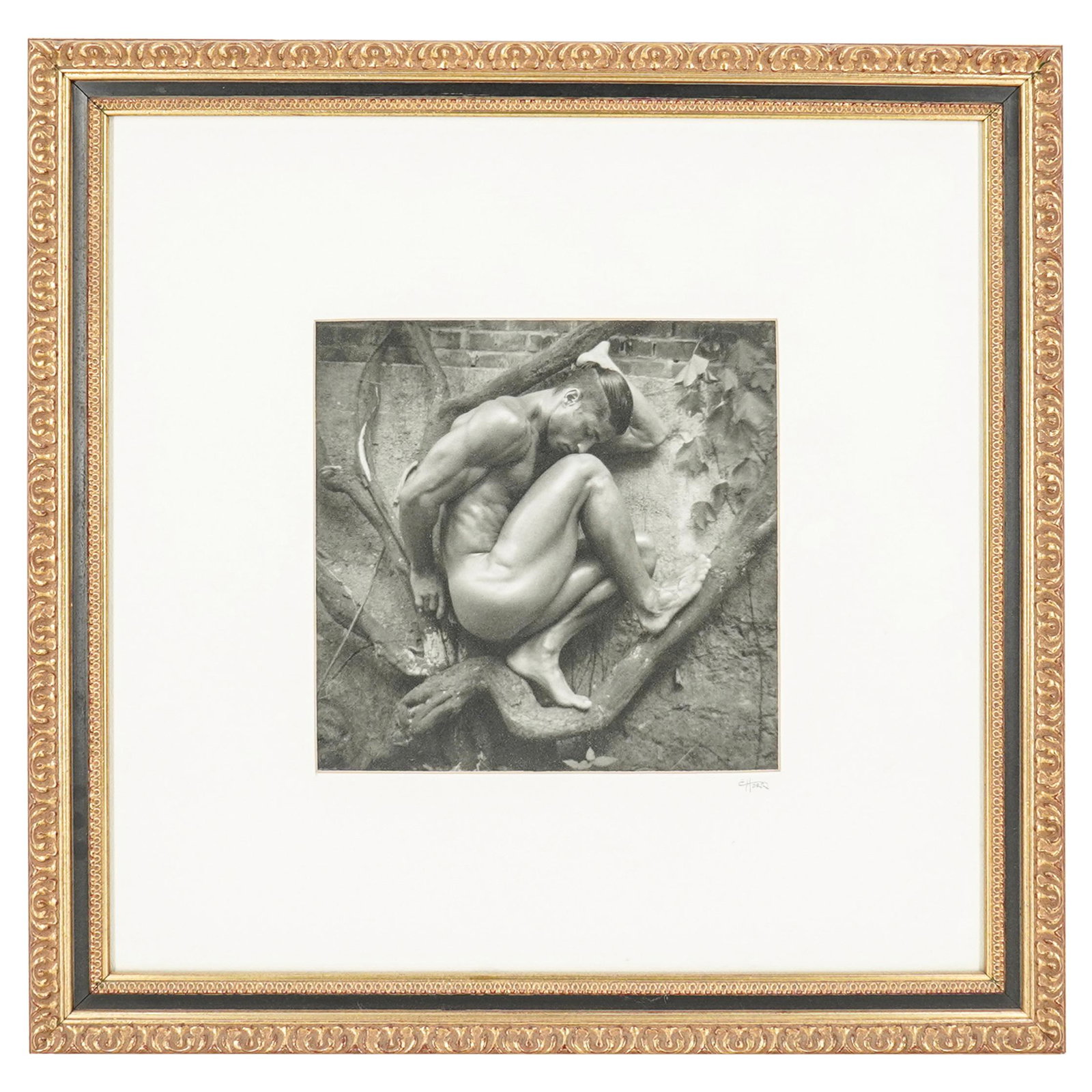 Signed E. Horr Male Nude Art Photography: DESCRIPTION: A signed E. Horr male nude art photography titled "Mat in the Vines" depicting a male nude around vine branches. Signed "E. Horr". Framed. CIRCA: 20th Century. DIMENSIONS: H: 23" W: 23". 