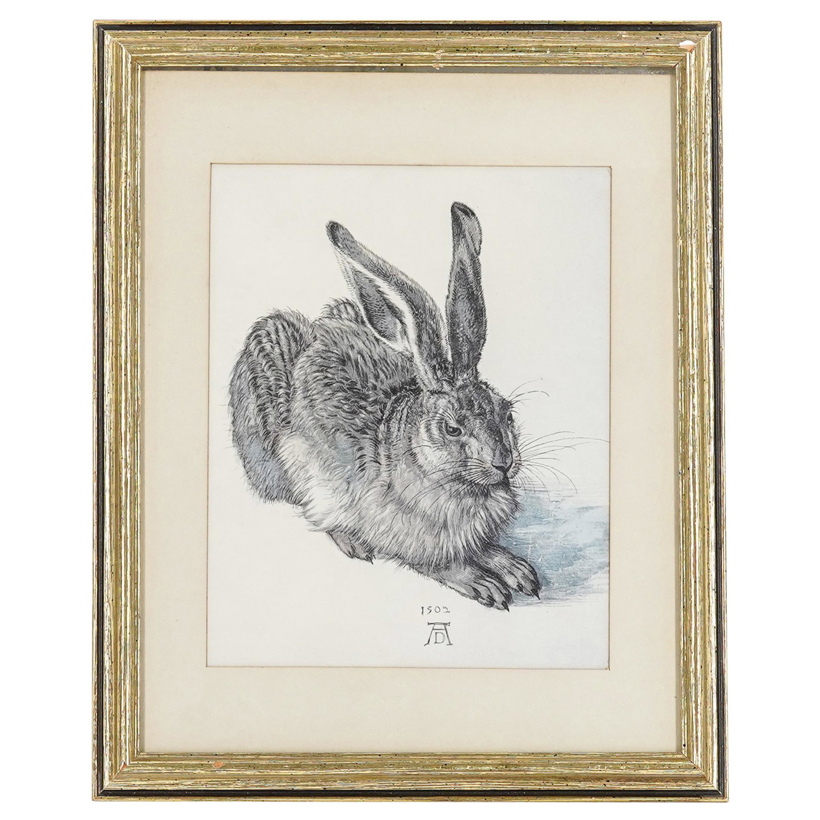 Albrecht Durer (1471-1528) "Young Hare" Lithograph (1 of 5)