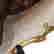 item-125559184=4