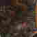 item-128647430=8