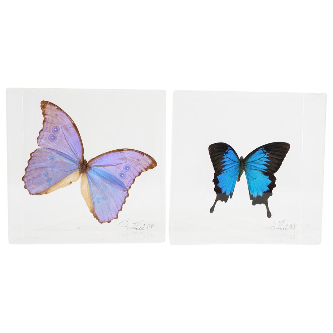 (2Pc) Signed Mounted Butterfly Boxes (1 of 10)