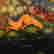 item-136215572=5