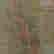 item-136998200=10