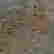item-136998200=9