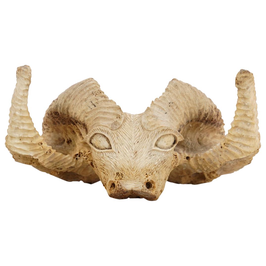 Stan Hill (1921-2003) Carved Bone Ram's Head: DESCRIPTION: Carved bone sculpture by Stan Hill of the Canadian Mohawk tribe depicting a ram's skull with horns from the nose up. Signed on underside and dated "'79". CIRCA: 1979 ORIGIN: Canada DIMENS