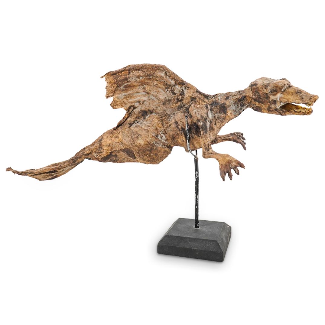 Grotesque Mummified Sea Monster (Fiji Mermaid) (1 of 8)