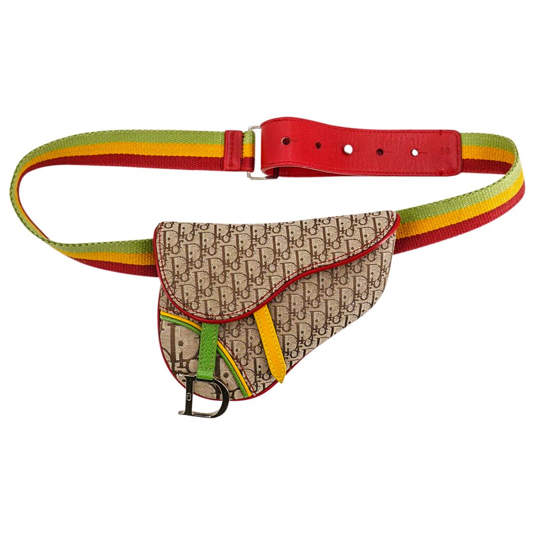 Christian Dior Monogrammed Canvas Saddle Belt Bag (1 of 4)