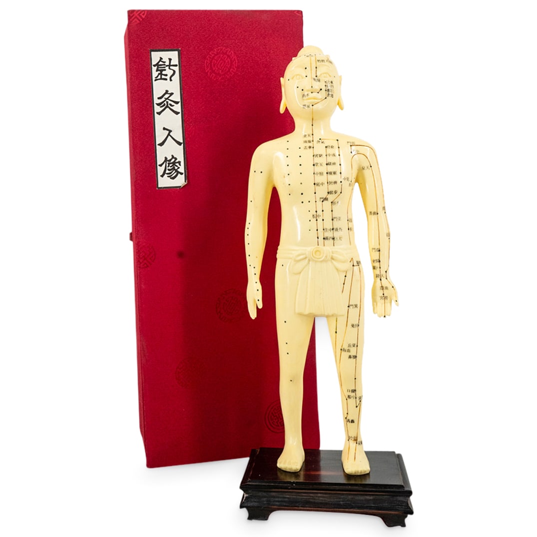 Chinese Medicine Male Anatomical Acupuncture Model (1 of 5)