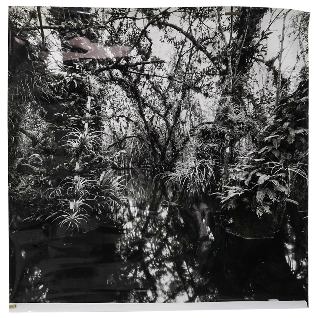 Clyde Butcher Everglades Landscape Photograph (1 of 9)