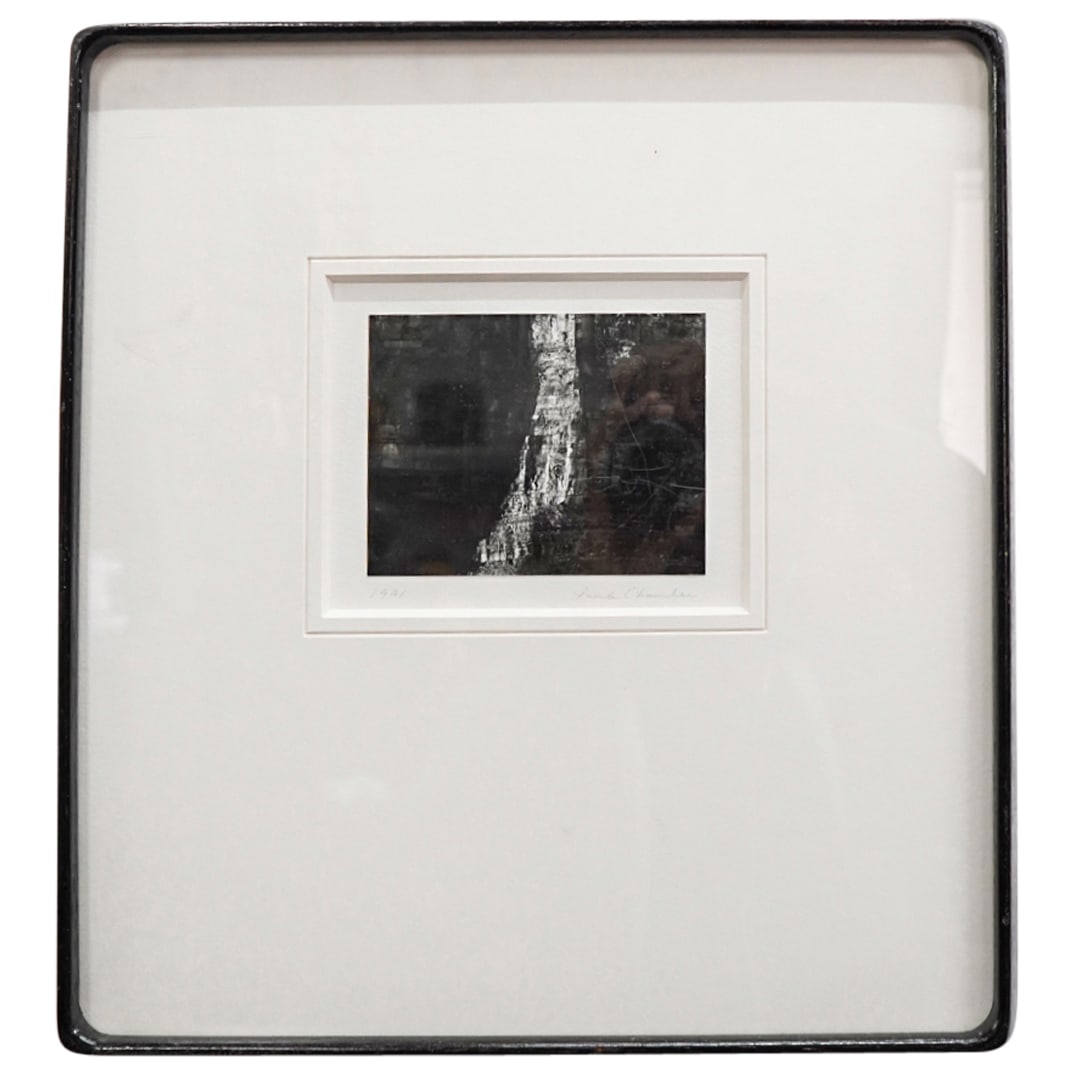 Paula Chamlee (B. 1944) Canyon Wall Photograph (1 of 6)