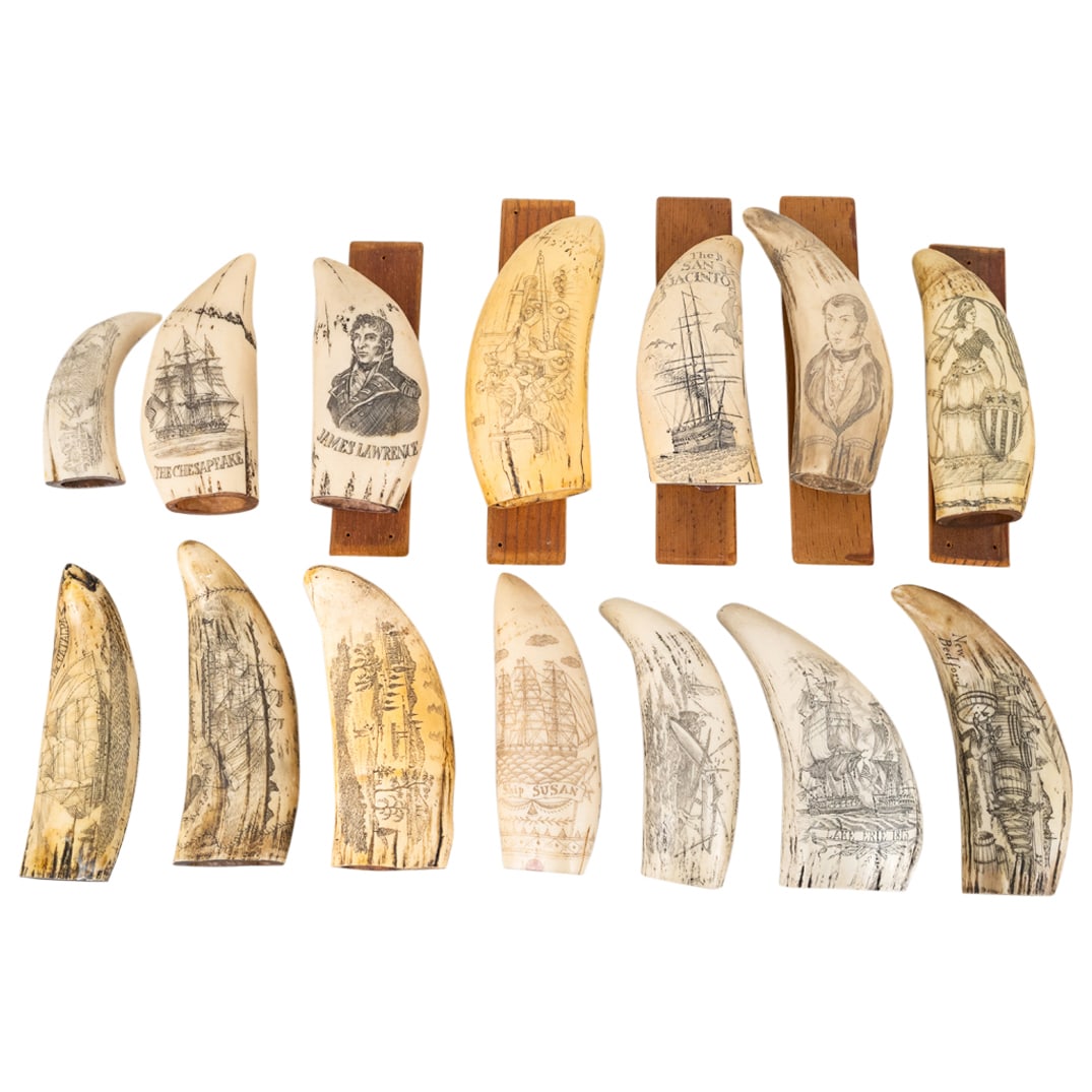 (14 Pc) Vintage Composite Nautical Tusks (1 of 7)