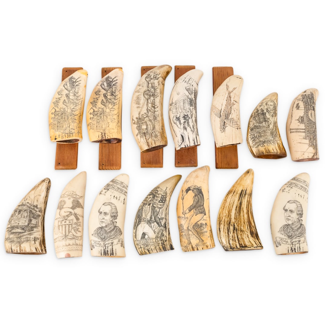 (14 Pc) Vintage Composite Nautical Tusks (1 of 4)