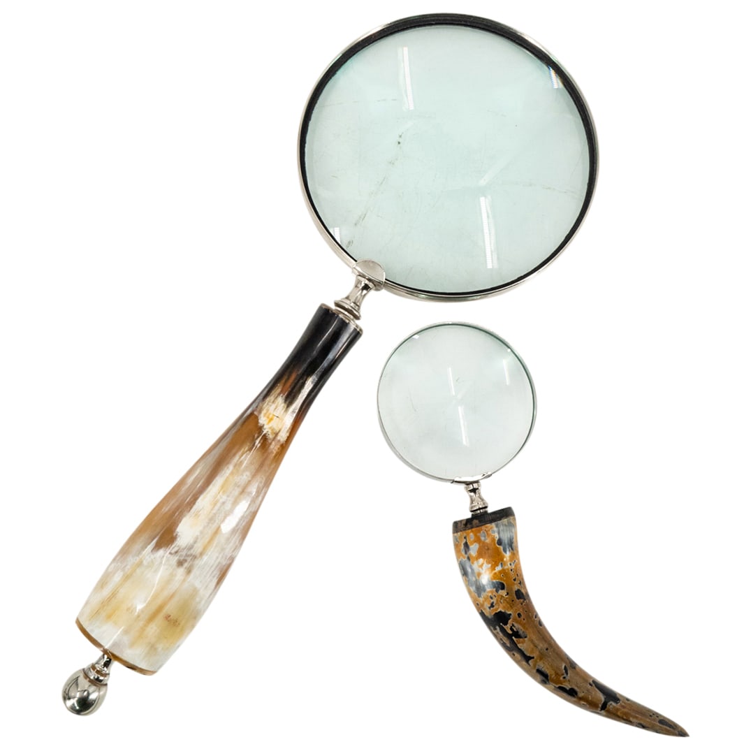 (2 Pc) Large Horn Handle Magnifying Glasses (1 of 4)