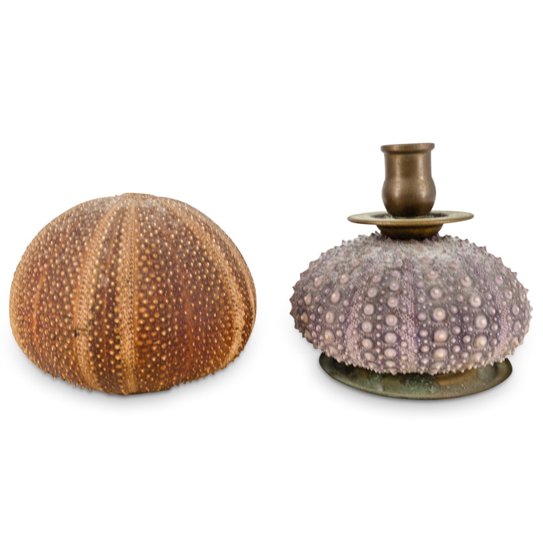 (2 Pc) Sea Urchin Percussive Shaker & Candlestick: DESCRIPTION: Two items: (1) Sea urchin percussive shaker by Ben Rickert composed of a sea urchin test with beads at interior. Signed on base. (1) Candlestick comprised of mixed metal and a purple-tone