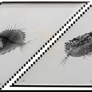 Nick Veasey (British, B. 1962) "John Dory" Limited C Type Print On Paper: DESCRIPTION: Limited edition C-type print on paper by Nick Veasey (British, b. 1962) entitled "John Dory" depicting an x-ray of a fish. Signed at lower right and numbered "29/150" at lower left. Certi