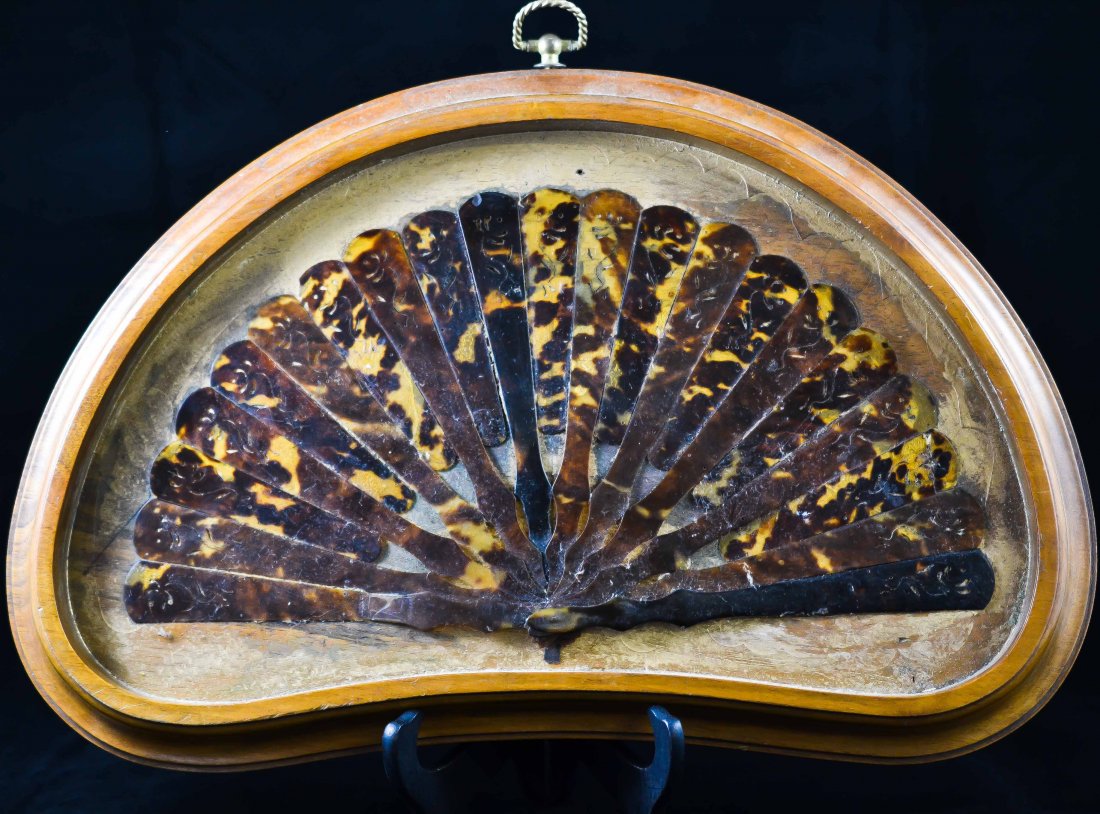 Chinese antique tortoise shell framed fan: DESCRIPTION: Chinese antique tortoise shell framed fan, glued onto frame, for decorative purposes only. CIRCA: 19th ct MADE IN: China DIMENSIONS: H:11" L:16"