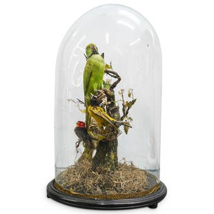 Victorian Taxidermy Bird Display Dome: DESCRIPTION: An antique Victorian taxidermy bird display featuring six different species of birds perched on branches with iridescent beetle accents and moss covered base. Display composed of an eboni