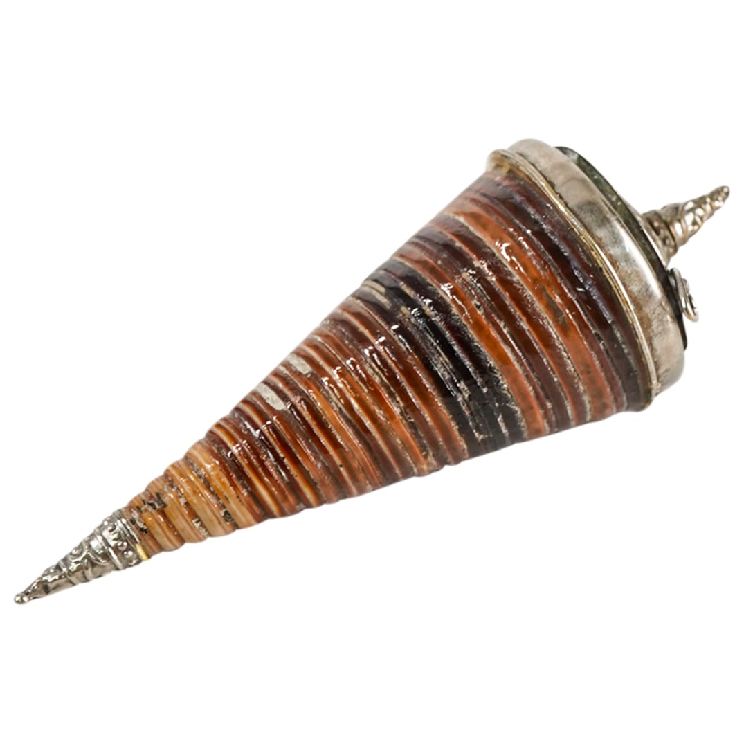 Antique Ottoman Silver And Coiled Spiral Shell Snuff Box (1 of 1)