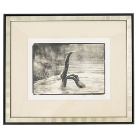 Robert Vano (Slovak, B. 1948) Platinotype Photograph