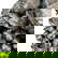 item-172280492=6