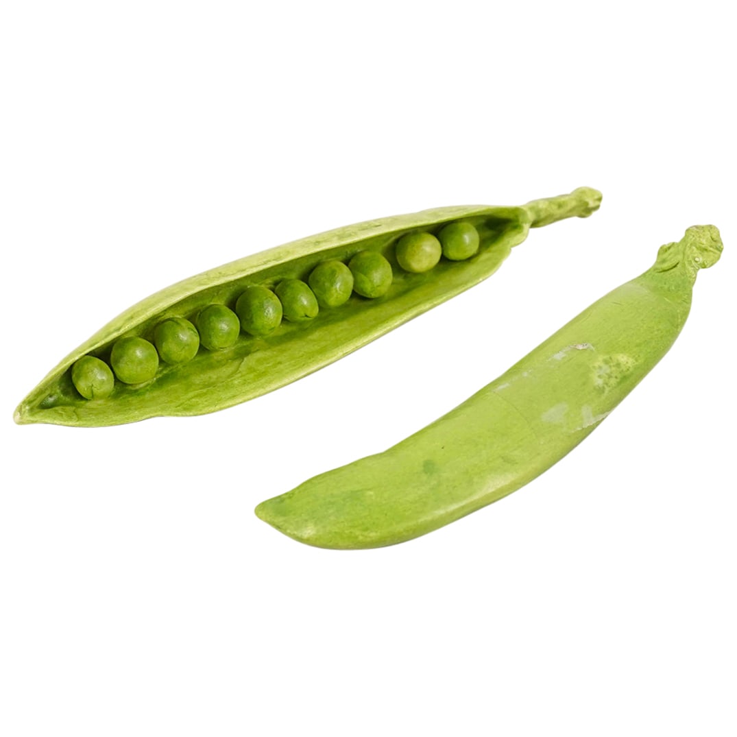 (2 Pc) Mary Kirk Kelly (American, 1918–2013) Realistic Ceramic Peas In Pod (1 of 6)