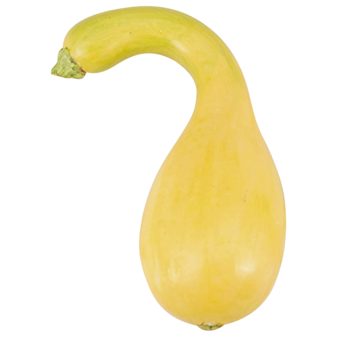 Mary Kirk Kelly (American, 1918–2013) Realistic Ceramic Squash (1 of 5)