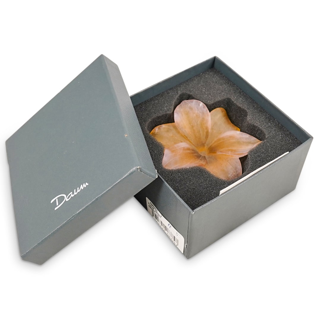 Daum Pate-De-Verre Amaryllis Flower Amber Figure: DESCRIPTION: Daum Pate-De-Verre Amaryllis Flower Amber Figure. Depicts a six petal amaryllis flower in amber pater-de-verre glass with rose accents. Signed "Daum France" in script on the bottom. With