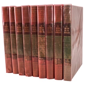 El Mundo De Los Animales, Illustrated