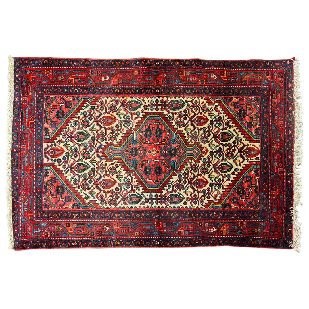Oriental Wool Rug (1 of 5)