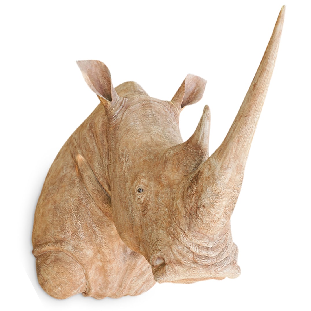 Monumental James Perkins (English, B.1978) Rhinoceros Head (1 of 12)