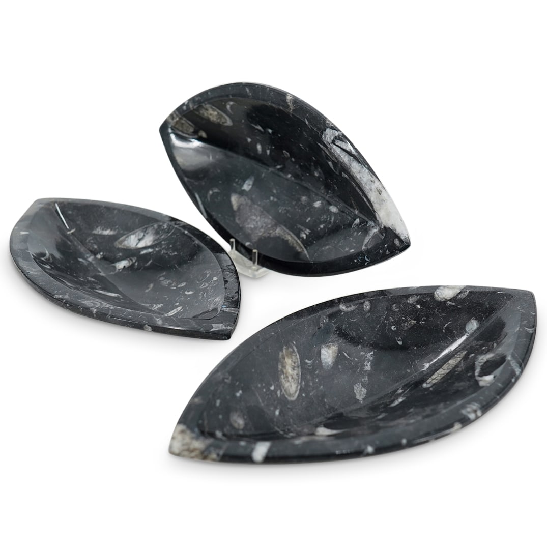 (3 Pc) Polished Orthoceras Fossil Bowls Set: DESCRIPTION: (3 Pc) Polished carved orthoceras fossil bowls set. This set includes a total of three (3) bowls with a marquise shape and polished finish, in black-hued orthoceras limestone, carefully p