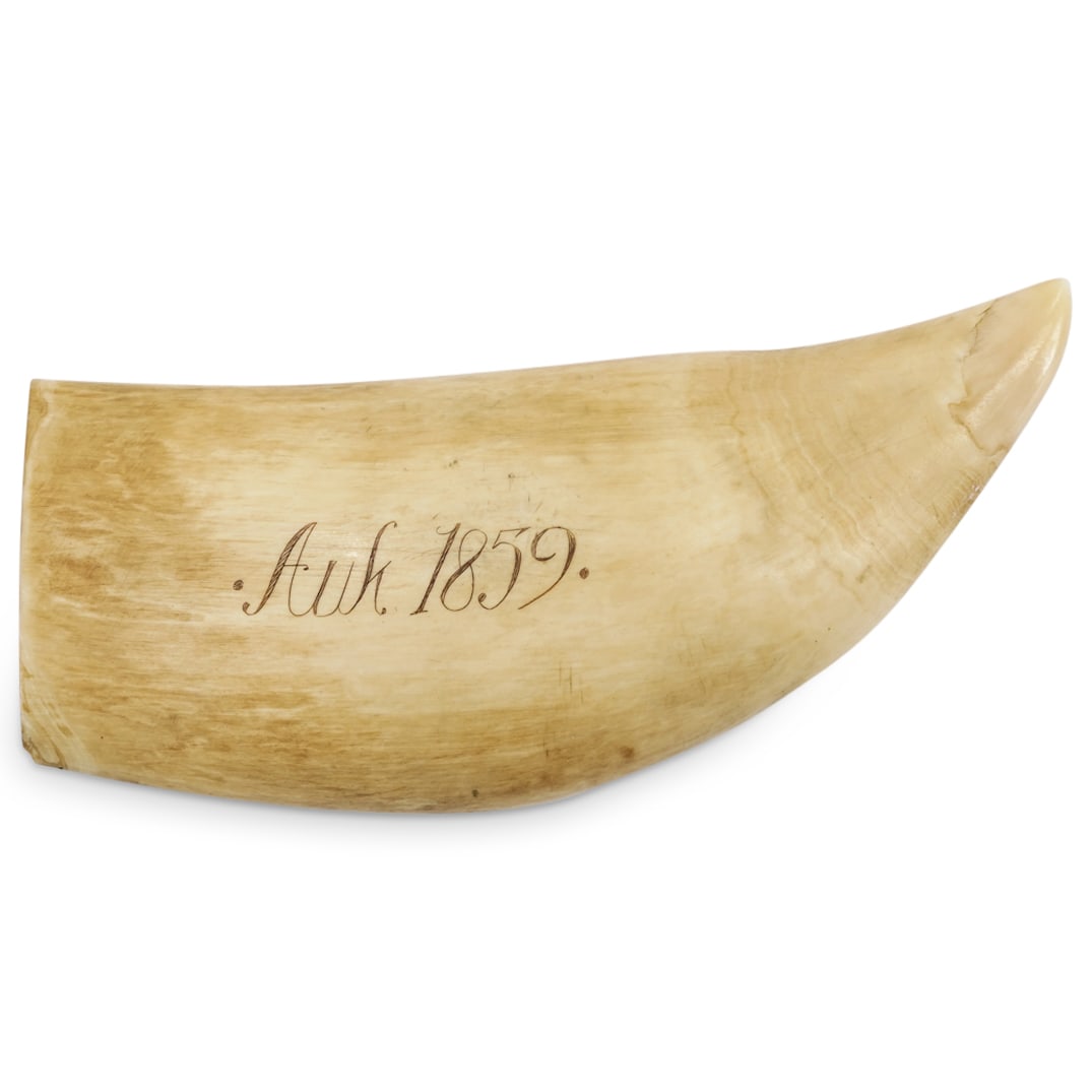 Antique Scrimshaw Whale Tooth: DESCRIPTION: Antique scrimshaw whale tooth engraved by a seascape depiction featuring a tall ship. Engraved at the opposite side "Auk 1859". CIRCA: 19th Century ORIGIN: Pacific Northwest DIMENSIONS: W