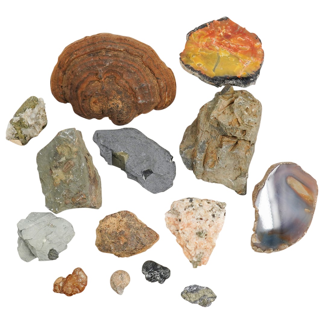 (14 Pc) Assorted Fossils & Minerals Specimens Grouping (1 of 13)