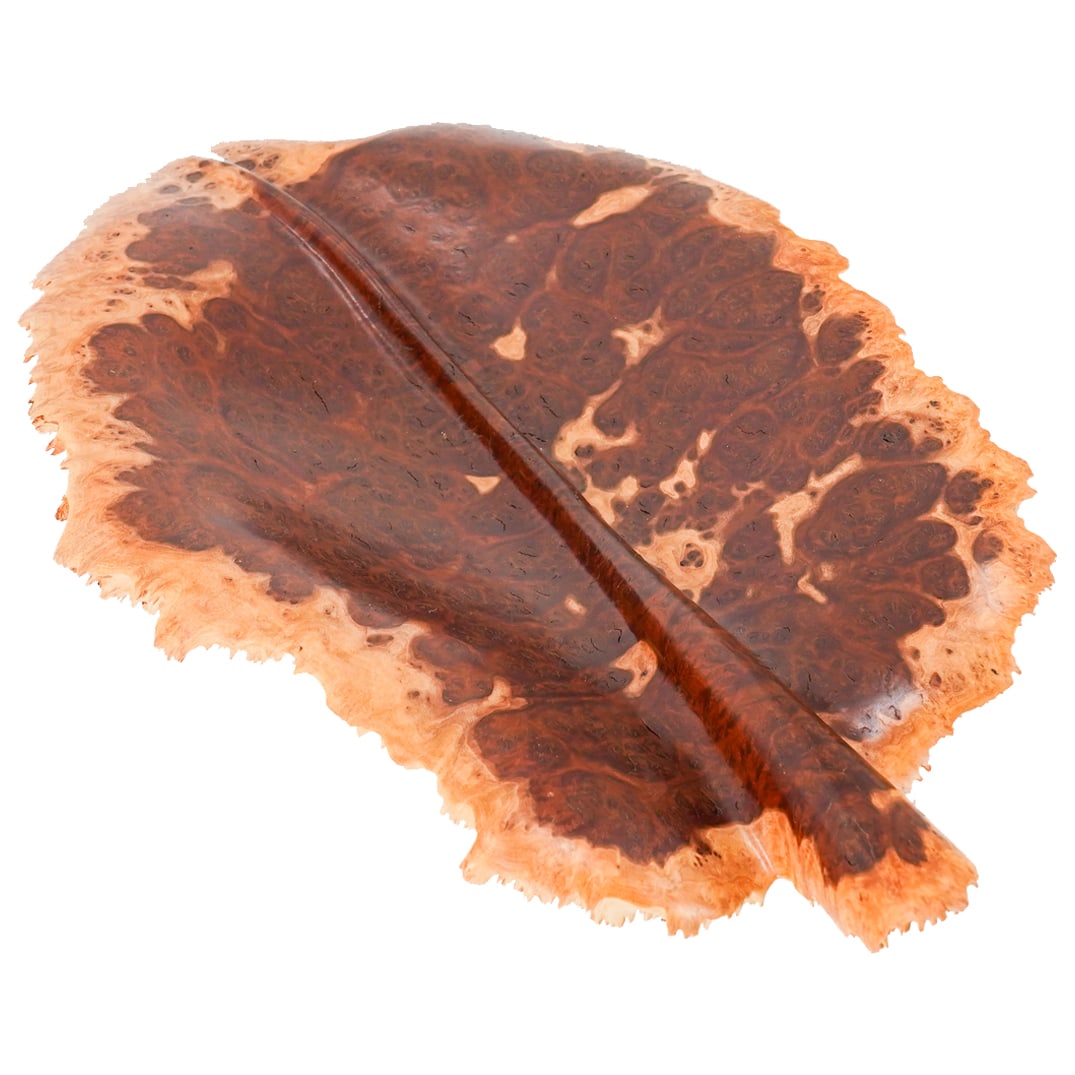 Merv Bailey (Australian, XX C.) Mallee Burl Wood Bowl (1 of 10)