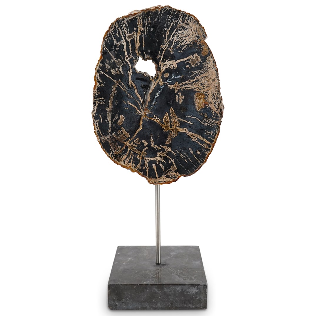 Petrified Wood Specimen (1 of 14)