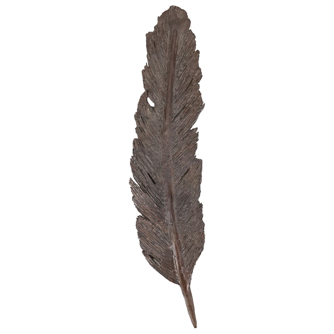 Jud Hartmann (American, B. 1948) Bronze Feather Sculpture (1 of 4)