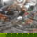 item-185127958=13