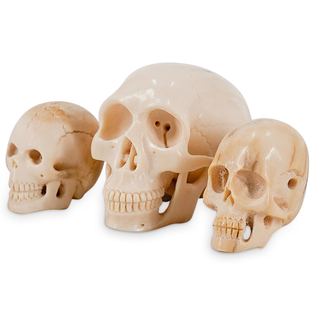(3Pc) 19th C. Memento Mori Carved Skull Study (1 of 19)