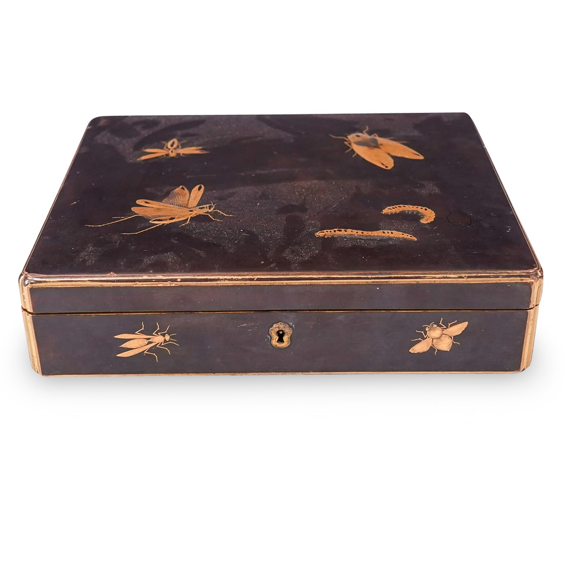 Japanese Maki-e Lacquered Insect Box (1 of 20)