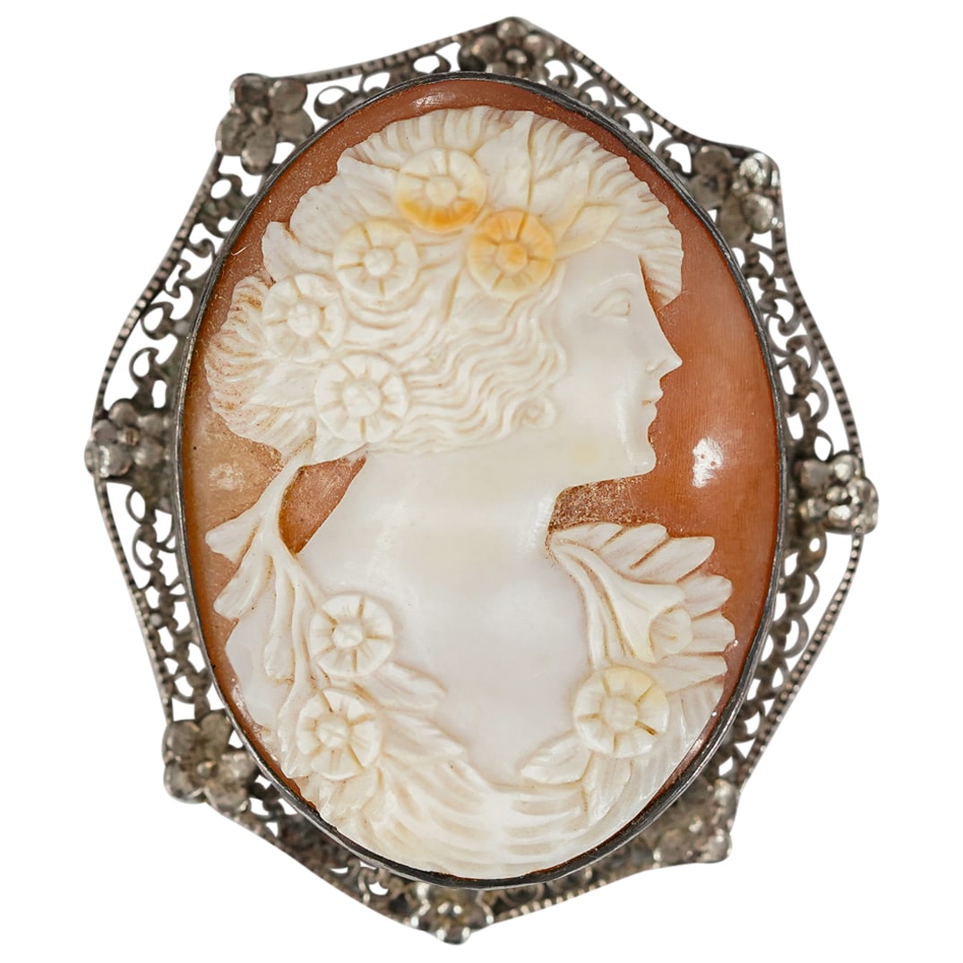 Antique Carved Shell Cameo Brooch (1 of 5)